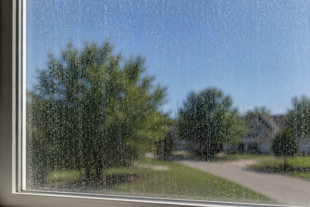 Window Cleaning